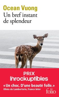 un bref instant de splendeur (ebook)-ocean vuong-9782072977442