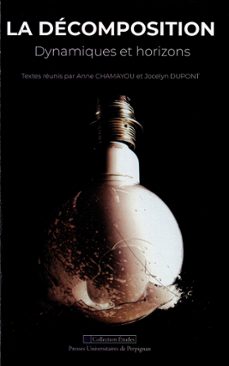 la decomposition (ebook)-9782354123642