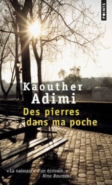 des pierres dans ma poche-9782757879542