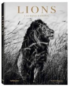 lions: the french photorapher laurent baheux dedicates his book t o the "king of the animals"-laurent baheux-9783961712342