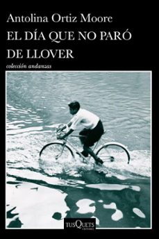 el dia que no paro de llover (ebook)-antolina ortiz moore-9786073931342