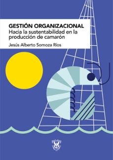 gestion organizacional (ebook)-9786077375142