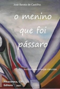 o menino que foi passaro (ebook)-josé barata de castilho-9786526631942