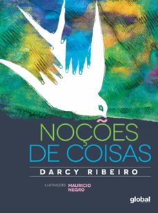 noçes de coisas (ebook)-darcy ribeiro-9786556123042