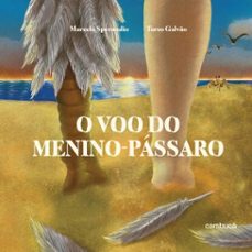 o voo do menino-passaro (ebook)-marcela sperandio-9786588360842
