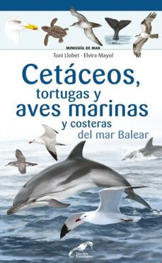cetaceos, tortugas y aves marinas y costeras del mar balear-9788413562742