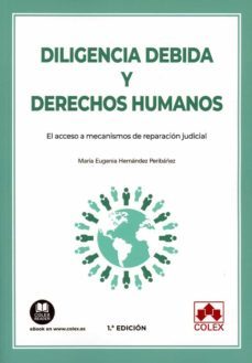 diligencia debida y derechos humanos. el acceso a mecanismos de reparacion judicial-maria eugenia hernandez peribañez-9788413595542