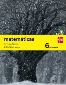 matematicas 6º educacion primaria trimestral savia andalucia ed 2015-9788467575842
