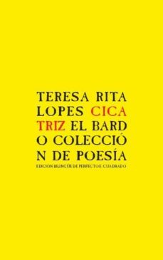 cicatriz (ebook)-teresa rita lopes-9788482551142
