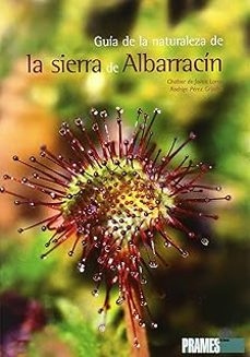 guía de la naturaleza de la sierra de albarracín-chabier de jaime loren-rodrigo perez grijalvo-9788483212042