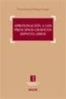 aproximacion a los principios graficos hipotecarios-oscar german vazquez asenjo-9788497907842
