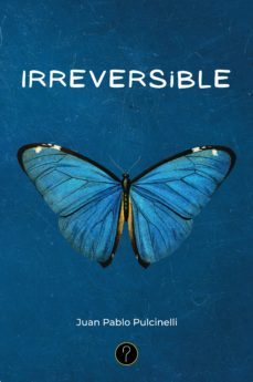 irreversible (ebook)-juan pablo pulcinelli-9789878492742