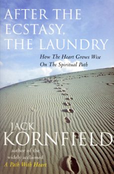 after the ecstasy, the laundry (ebook)-jack kornfield-9781407026152