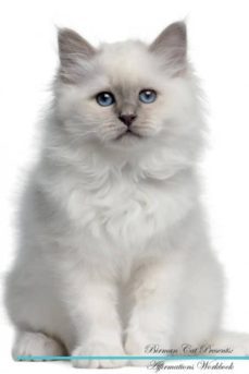 birman cat affirmations workbook birman cat presents-9781526966452