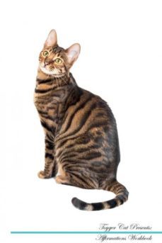 toyger cat affirmations workbook toyger cat presents-9781526977052