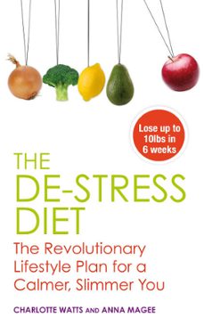 -anne magee-charlotte watts-9781848507852
