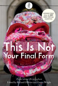 this is not your final form (ebook)-9781910139752