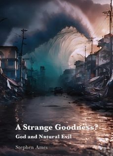 a strange goodness? (ebook)-stephen ames-9781923006652