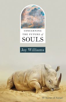 concerning the future of souls (ebook)-joy williams-9781959030652