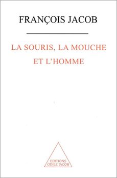 la souris, la mouche et l'homme (ebook)-françois jacob-9782738199652