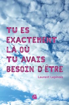 tu es exactement la ou tu avais besoin d'etre (ebook)-laurent lepinois-9782754773652