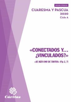 conectados y ¿vinculados? (ebook)-9788484406952