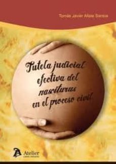 tutela judicial efectiva del nasciturus en el proceso civil-t.j alise santos-9788492788552