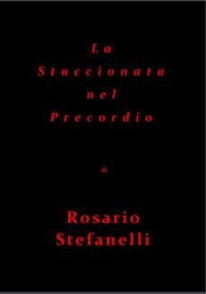 la staccionata nel precordio (ebook)-9788835805052