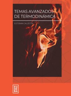 temas avanzados de termodinamica (ebook)-esteban calzetta-9789502333052