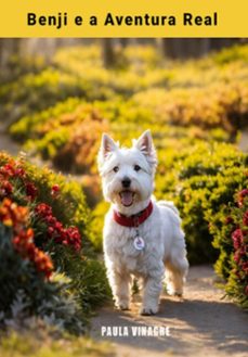 benji e a aventura real (ebook)-paula vinagre-3410007884362
