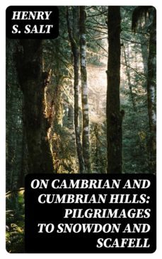 on cambrian and cumbrian hills: pilgrimages to snowdon and scafell (ebook)-8596547324362