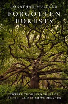 Imagen Principal de Forgotten Forests