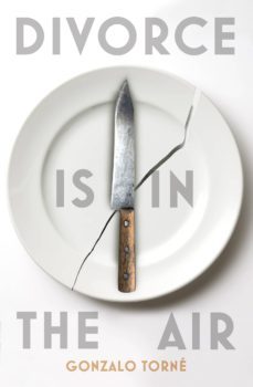 divorce is in the air (ebook)-gonzalo torne-9781473511262