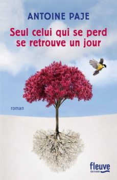 seul celui qui se perd se retrouve un jour-antoine paje-9782265118362