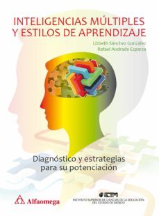 inteligencias multiples y estilos de aprendizaje (ebook)-lizbeth sanchez gonzalez-rafael andrade esparza-9786076222362
