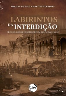 labirintos da interdição-amilcar de souza martins sobrinho-9786525190662