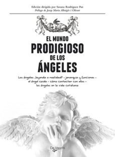 el mundo prodigioso de los angeles-susana rodriguez paz-9788431550462