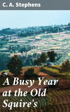 a busy year at the old squire's (ebook)-c. a. stephens-4057664568472