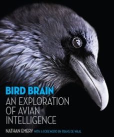 bird brain-nathan emery-9780691165172