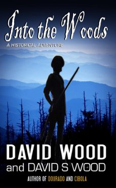 into the woods (ebook)-david wood-9781513041872