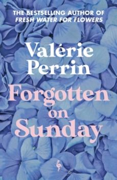 forgotten on sunday-valerie perrin-9781787705272
