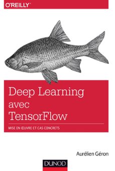 deep learning avec tensorflow (ebook)-aurelien geron-9782100767472