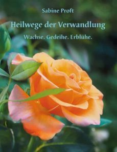 heilwege der verwandlung-9783754370872