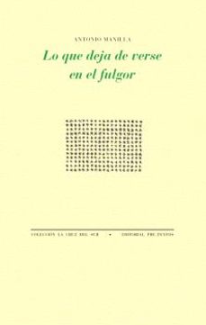 lo que deja de verse en el fulgor-antonio manilla-9788410309272