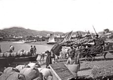 sant feliu de guixols desaparegut-9788415232872