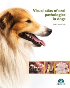 visual atlas of oral pathologies in dogs-javier collados soto-9788416315772