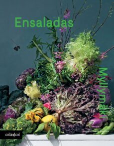 ensaladas (ebook)-9788419483072