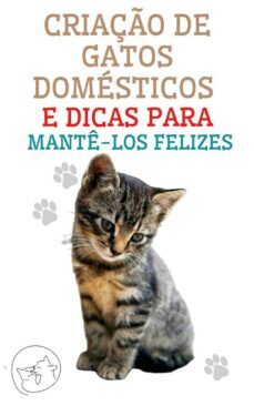 criaço de gatos domesticos e dicas para mante-los felizes (ebook)-9791222411972