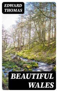 beautiful wales (ebook)-edward thomas-8596547378082