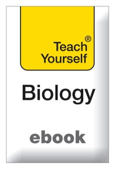 -morton jenkins-9781444160482